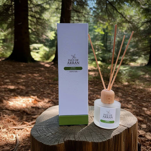 Coilteill: woodland Reed Diffuser